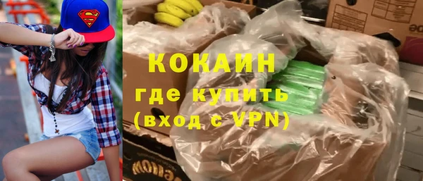 ГАЛЛЮЦИНОГЕННЫЕ ГРИБЫ Вяземский
